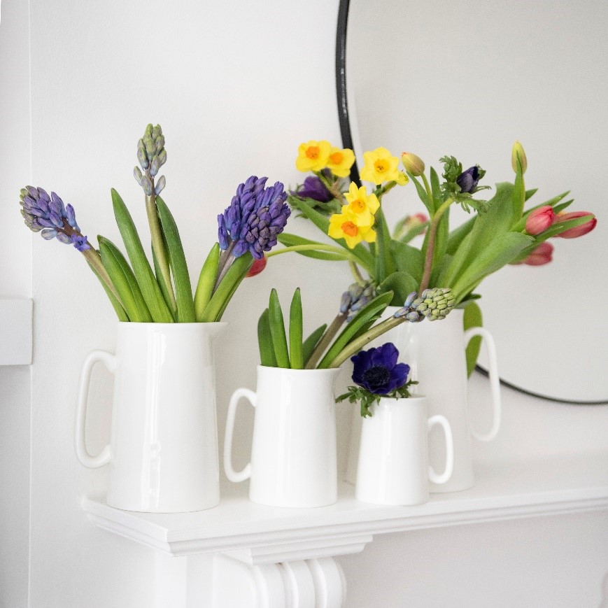 From Flowers to Gravy The Many Uses of Jugs in Your Home | Buttercup